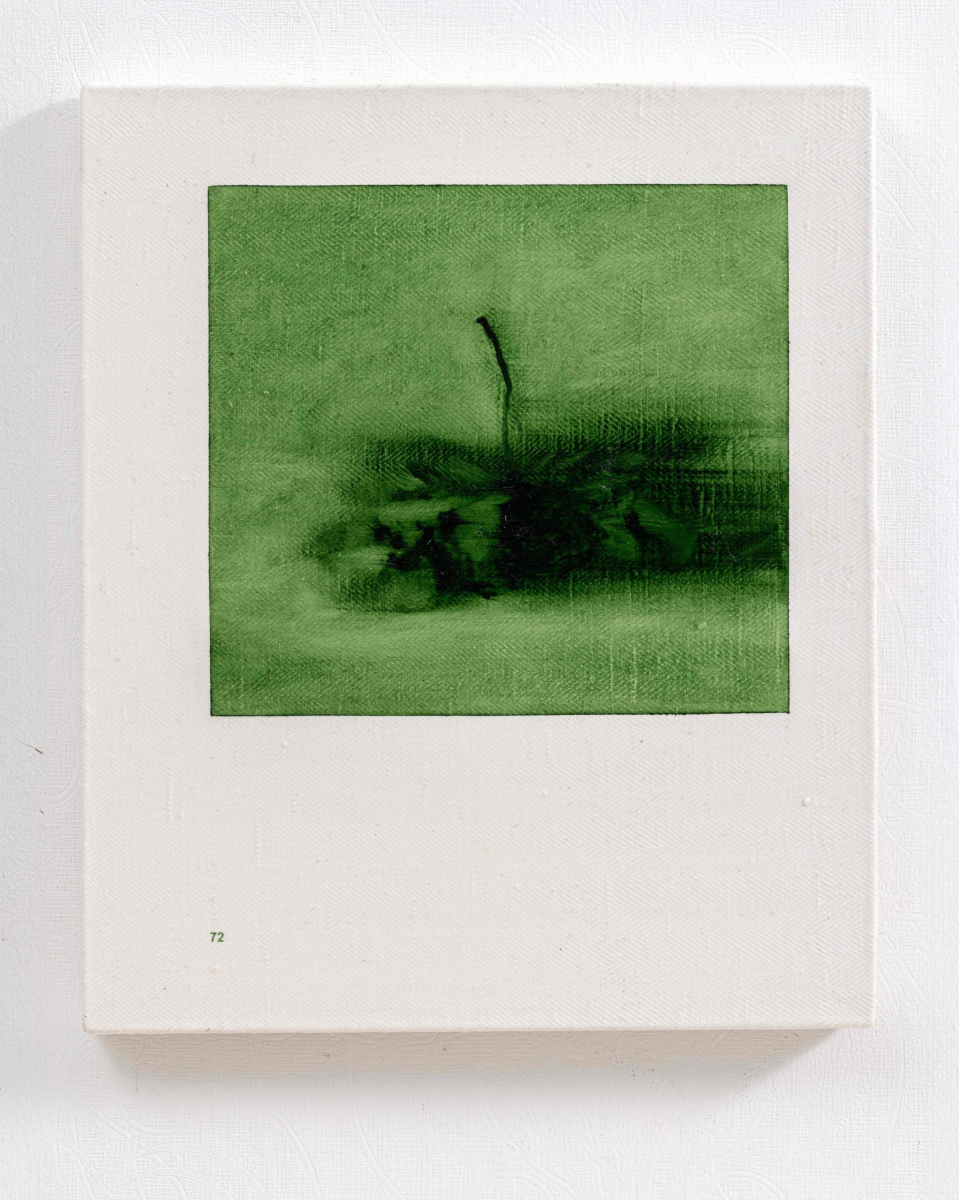Prūsijas zaļais. 72. lappuse | Prussian Green. Page 72, 2025. Oil on canvas, 46 x 36 cm.