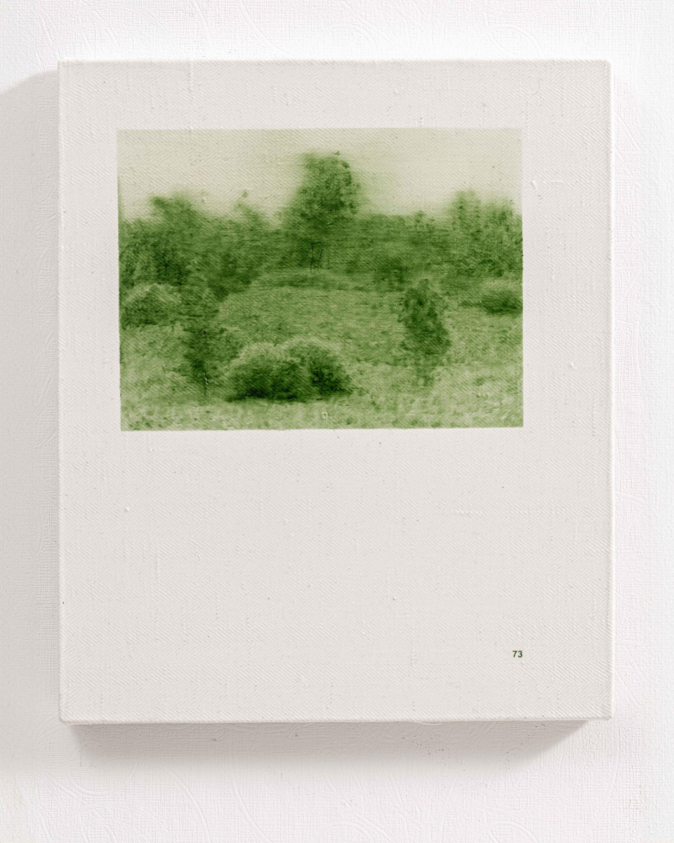 Prūsijas zaļais. 73. lappuse | Prussian Green. Page 73, 2025. Oil on canvas, 46 x 36 cm.